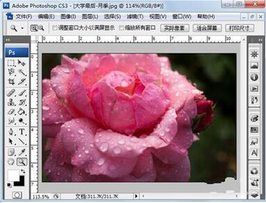 ps旋轉(zhuǎn)快捷鍵 ps旋轉(zhuǎn)快捷鍵的正確打開方式